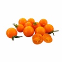 Orange Cocktail Cherry [ 500g ]