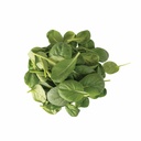Tatsoi Leaf [ 125g ]