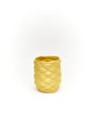 Pina Cup  